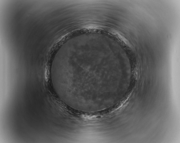 X0000093740821200710161137