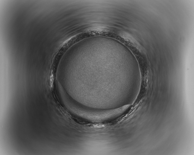 X0000093740822200710161137