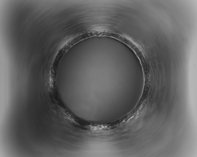 X0000093740823200710161137