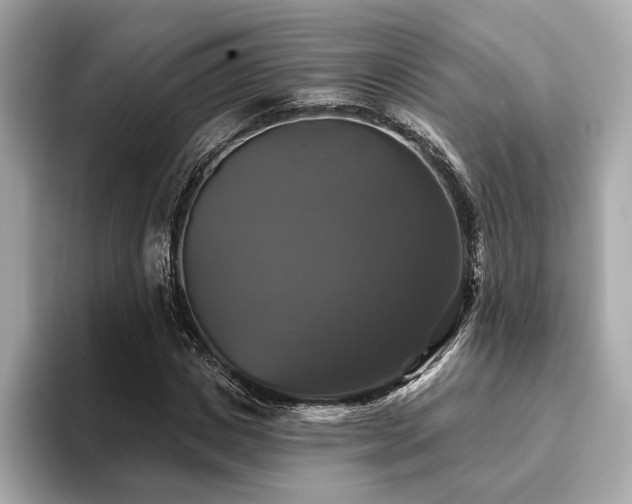 X0000093740825200710161137