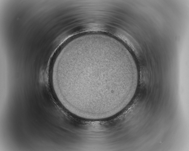 X0000093740828200710161137