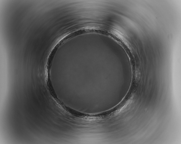 X0000093740829200710161137