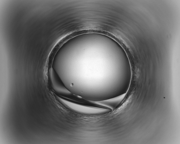X0000093740830200710161137