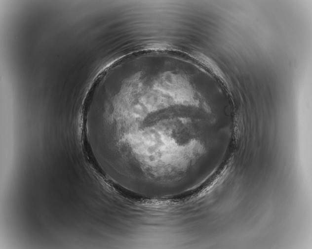 X0000093740831200710161137
