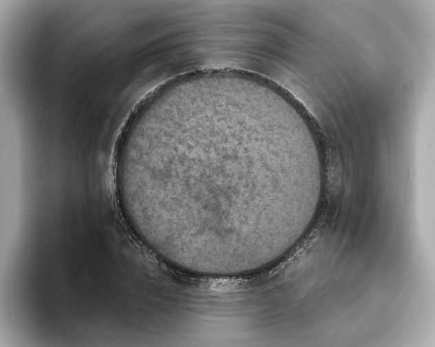 X0000093740832200710161137