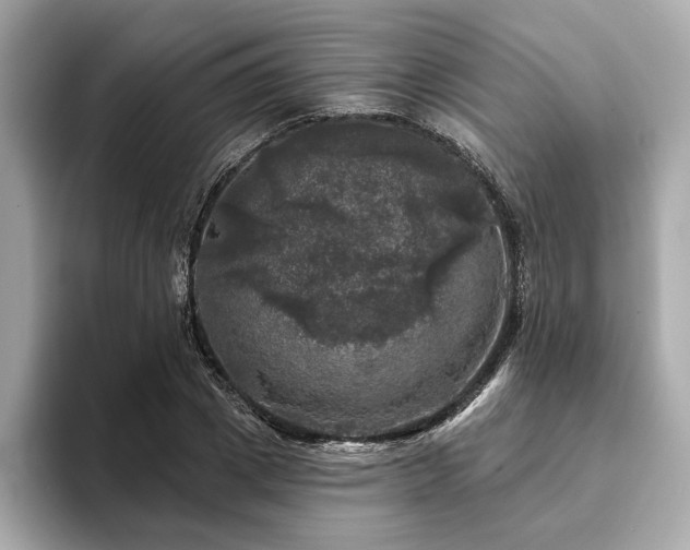 X0000093740833200710161137