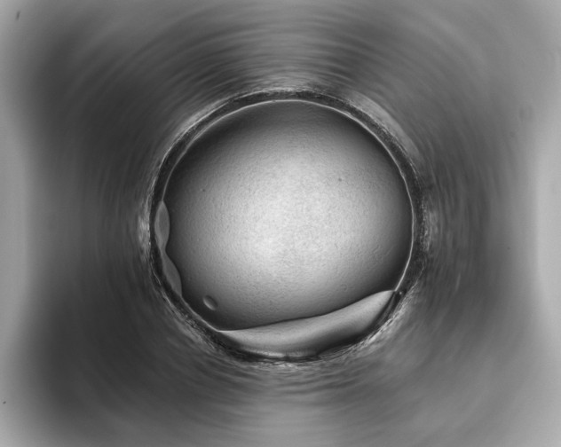 X0000093740834200710161137
