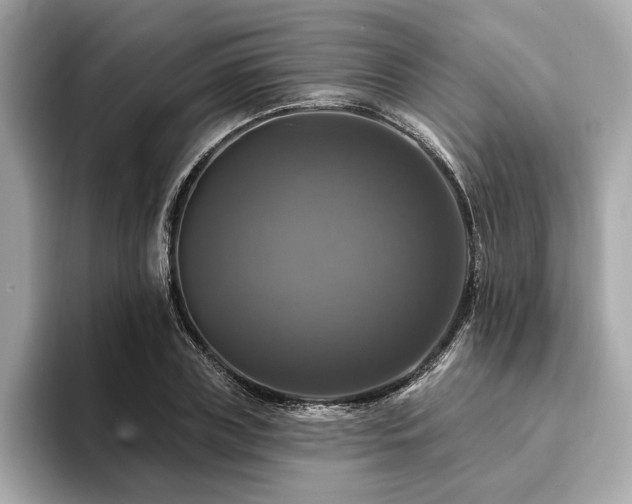 X0000093740835200710161137