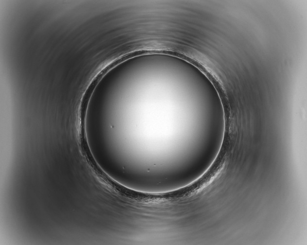 X0000093740837200710161137