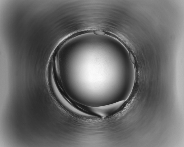 X0000093740838200710161137