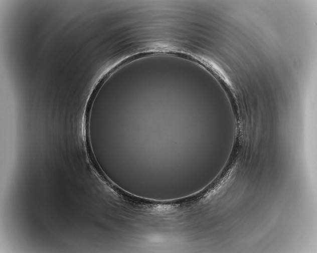 X0000093740839200710161137
