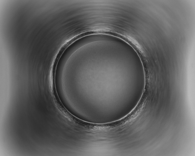 X0000093740840200710161137