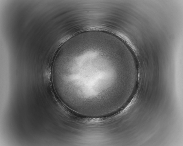 X0000093740841200710161137