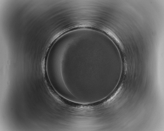 X0000093740842200710161137
