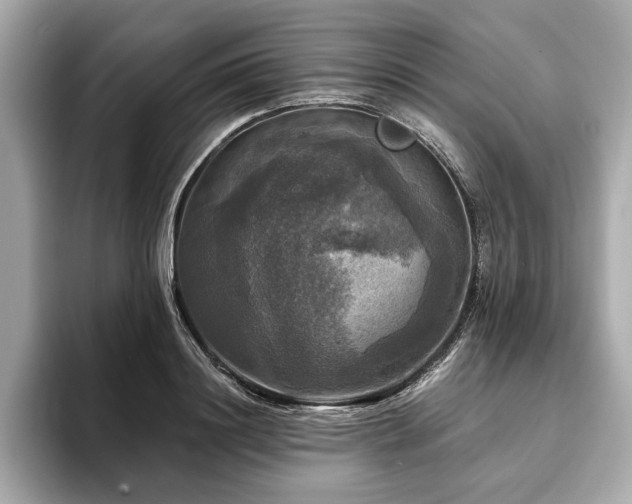 X0000093740844200710161137