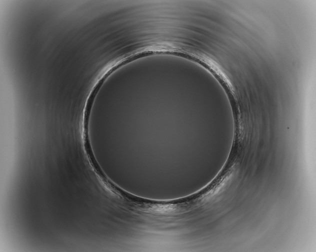X0000093740845200710161137