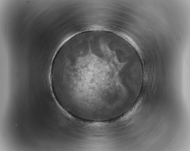 X0000093740847200710161137