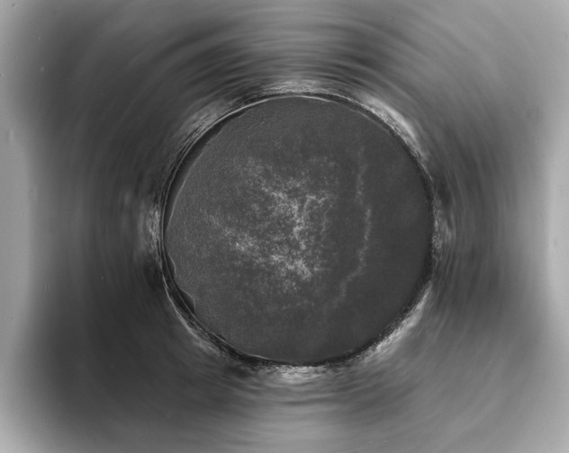 X0000093740849200710161137