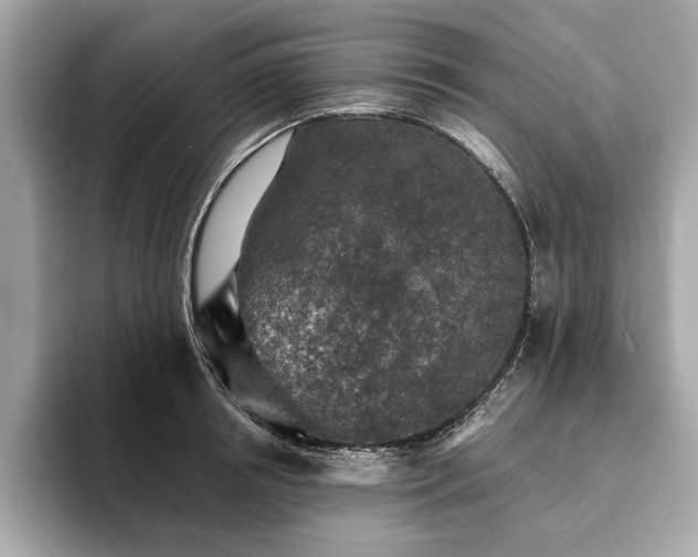 X0000093740850200710161137