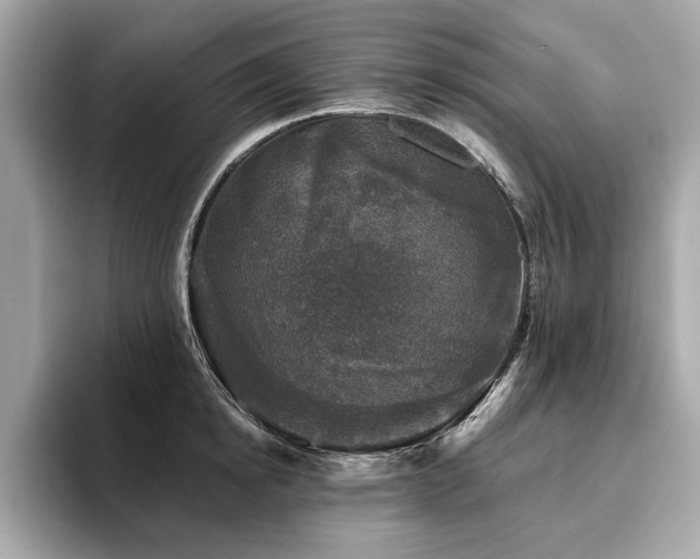 X0000093740854200710161137