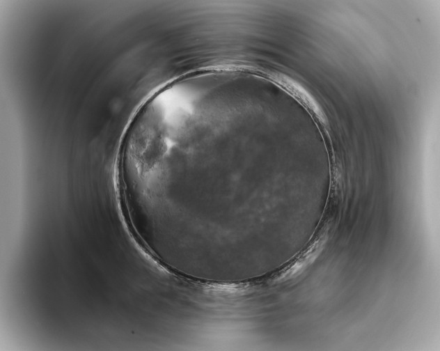 X0000093740855200710161137