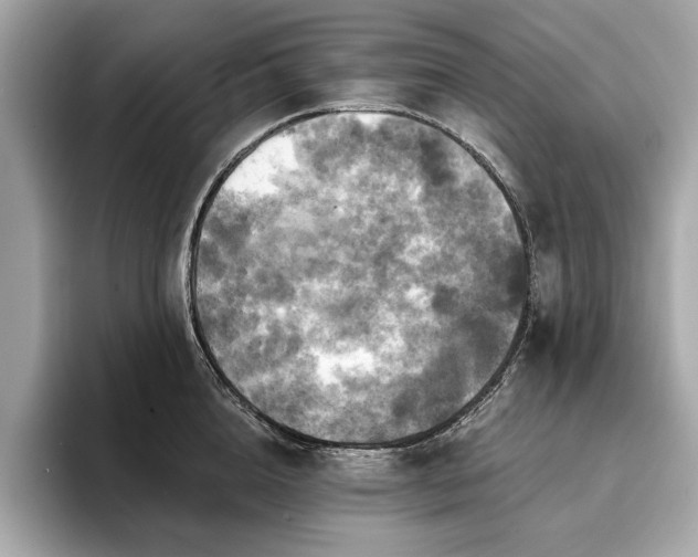 X0000093740856200710161137