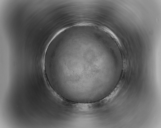 X0000093740860200710161137
