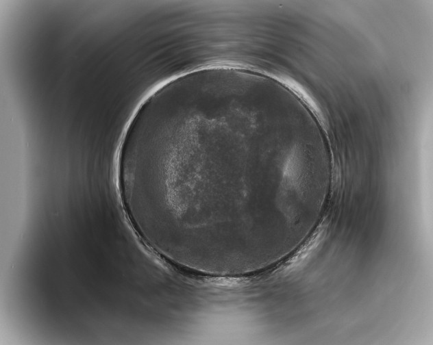 X0000093740862200710161138