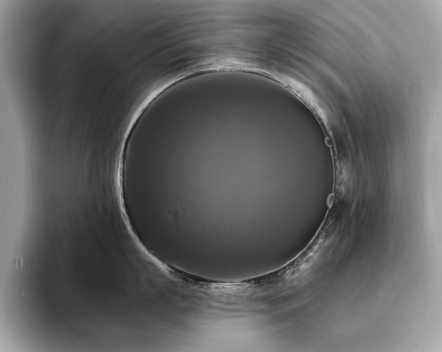 X0000093740863200710161138
