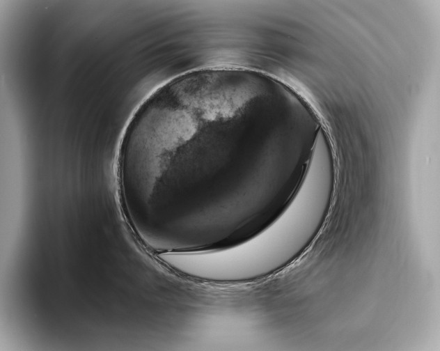 X0000093740864200710161138