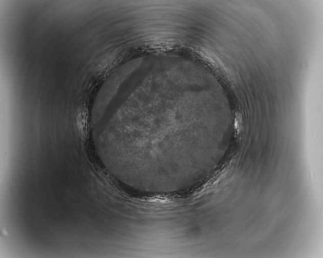 X0000093740867200710161137
