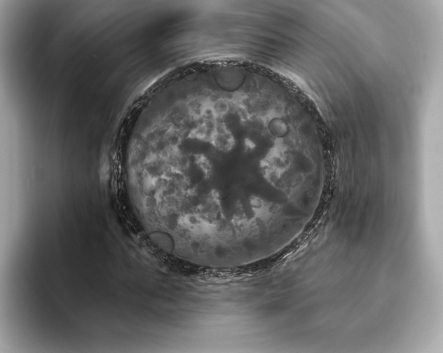 X0000093740871200710161137