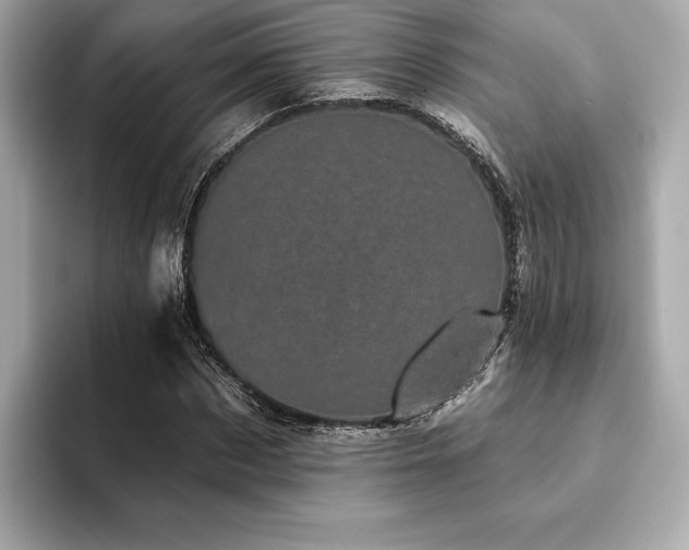 X0000093740873200710161137