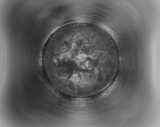 X0000093740875200710161137