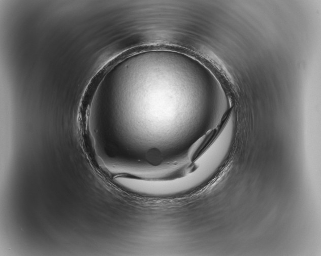 X0000093740876200710161137