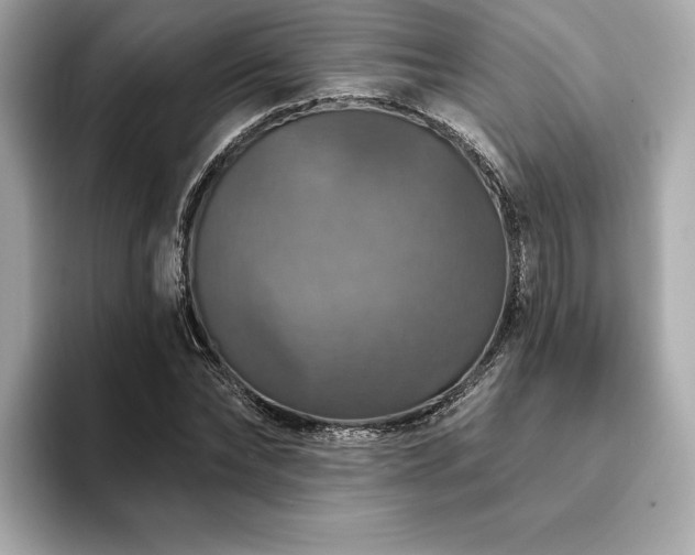 X0000093740878200710161137