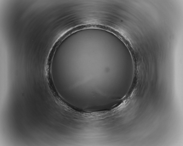 X0000093740879200710161137