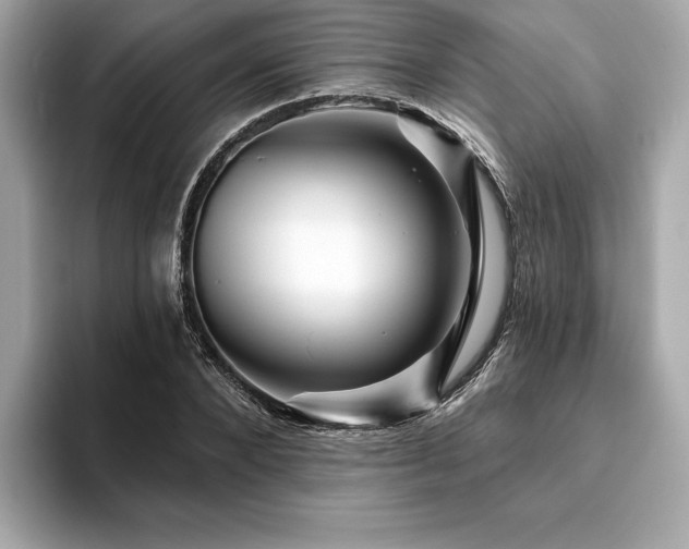 X0000093740880200710161137