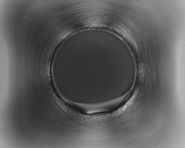 X0000093740881200710161137