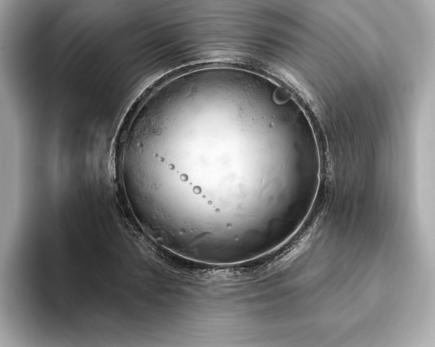X0000093740883200710161137