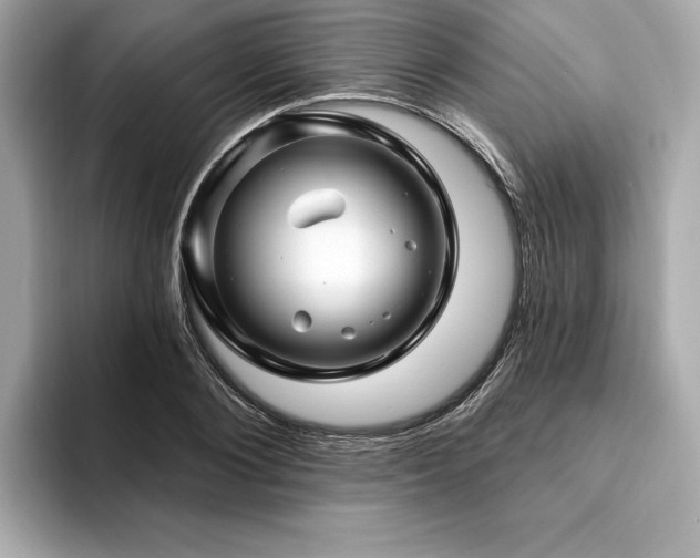 X0000093740884200710161137