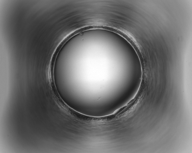 X0000093740887200710161137