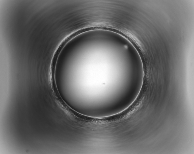 X0000093740888200710161137