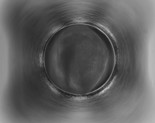 X0000093740889200710161137