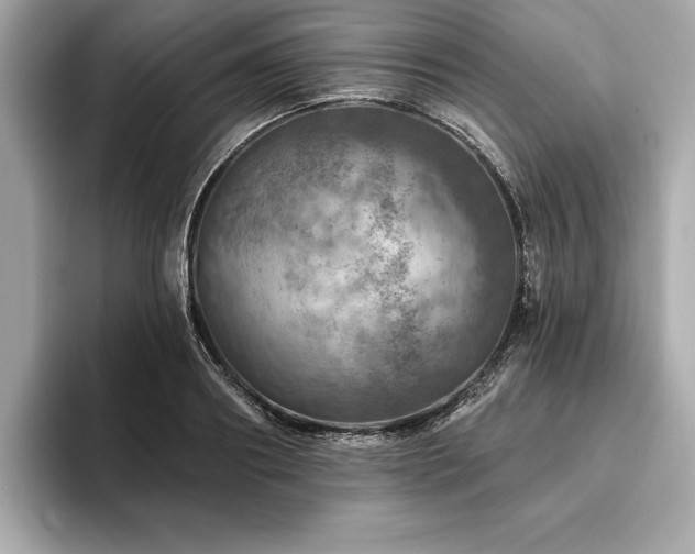X0000093740890200710161137