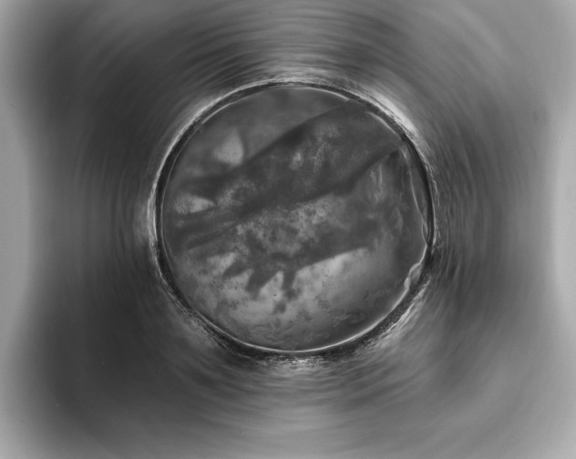 X0000093740891200710161137