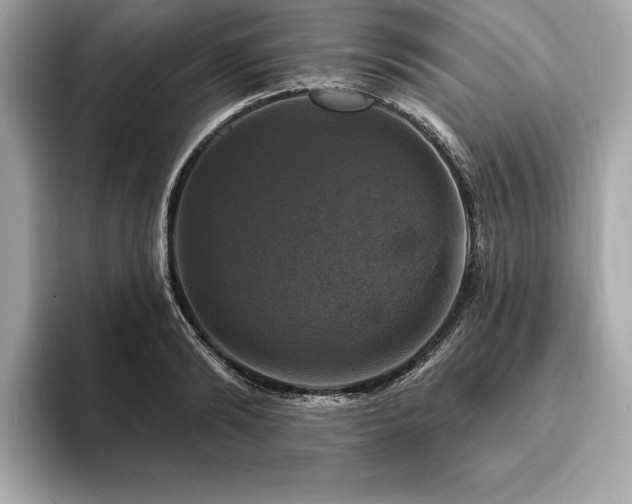 X0000093740894200710161137