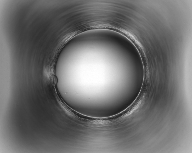 X0000093740897200710161137