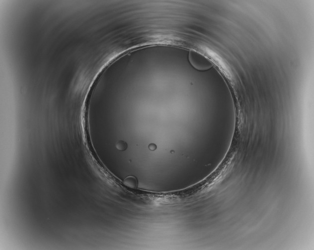 X0000093740899200710161137