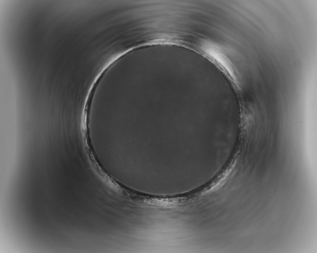X0000093740900200710161137